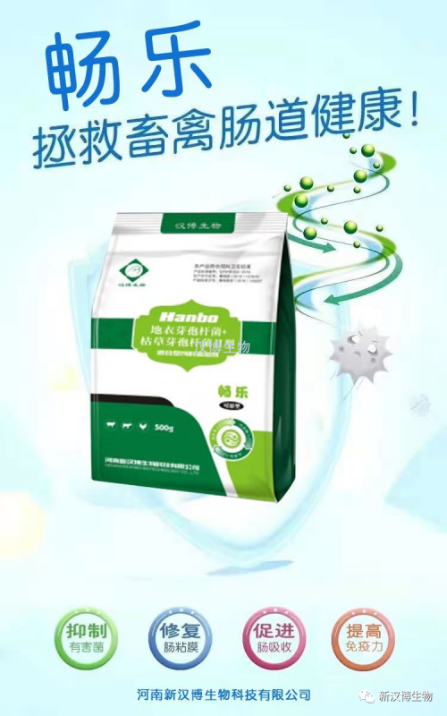 飼料禁抗后，斷奶仔豬腹瀉問題將更為嚴(yán)重，養(yǎng)豬人如何應(yīng)對(duì)